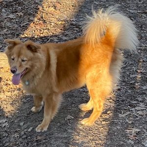 Meet your Posher, Mallory